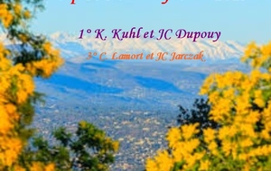 Top 10 du mois de Février  2025