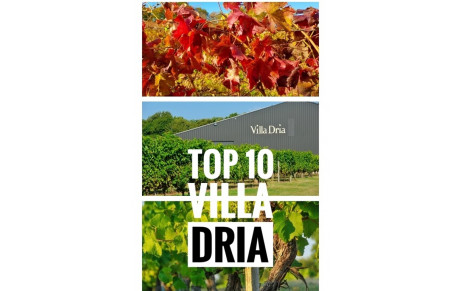Top 10 Villa Dria du mois de Novembre 