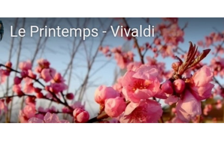 Musique de Printemps : Le Printemps de Vivaldi 